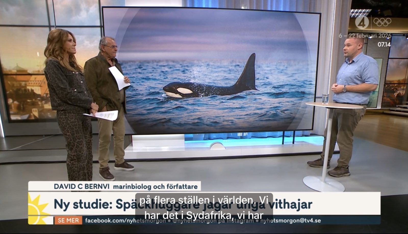 David C. Bernvi i studion på TV4 Nyhetsmorgon.