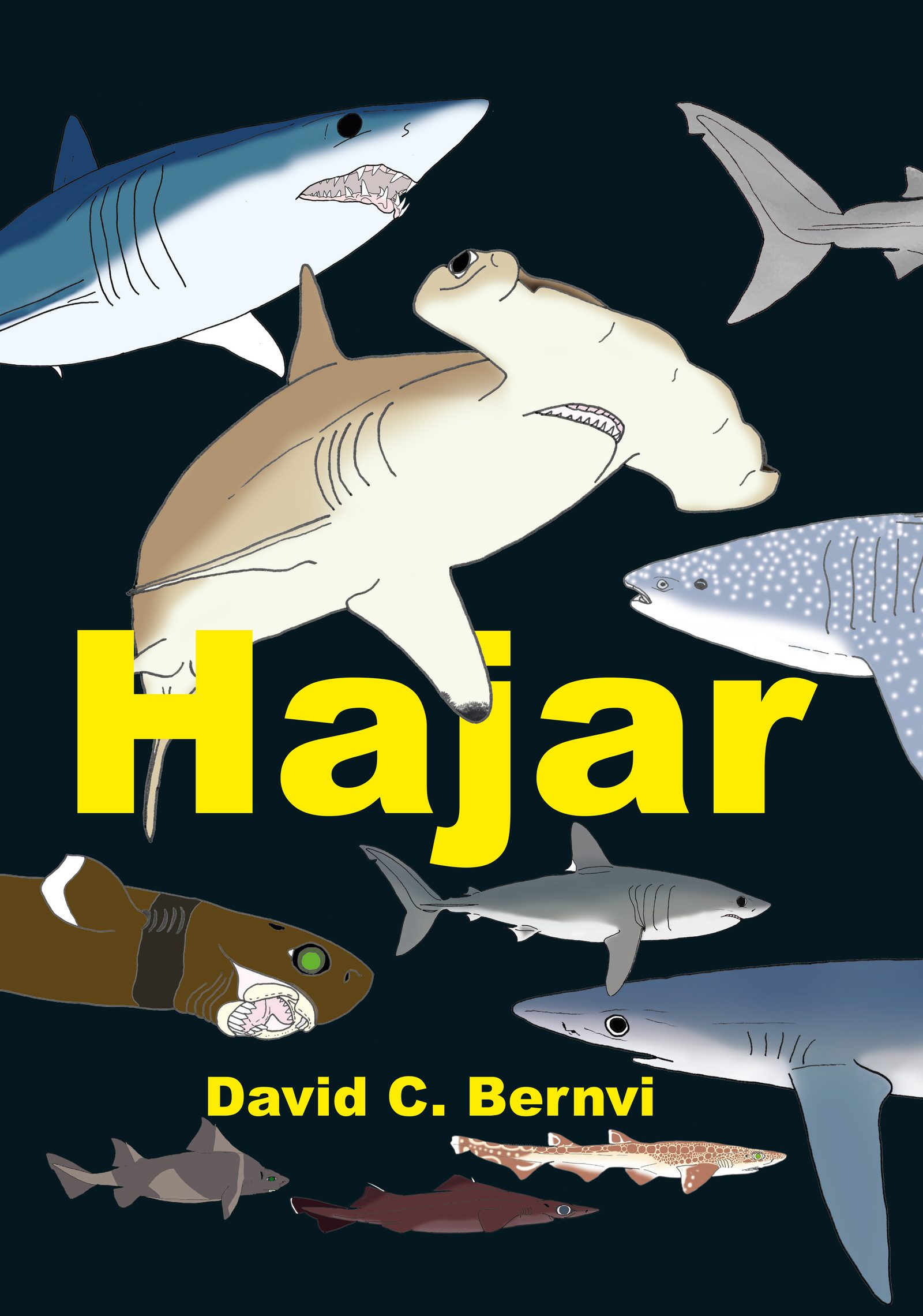 Hajar upplaga 4.