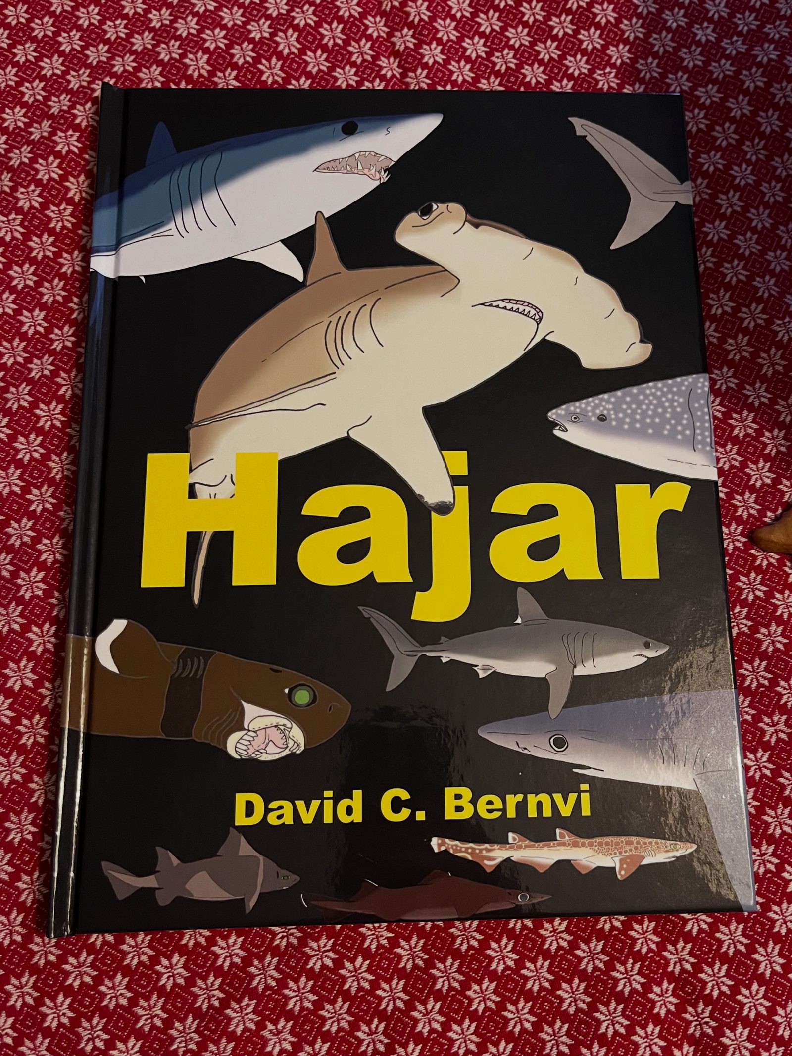 Hajar: en spännande faktabok av David C. Bernvi.