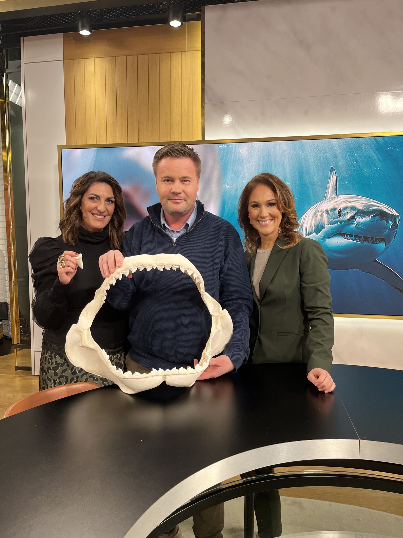 Jag (David Bernv) intervjuades av Maria Forsblom och Soraya Lavasani.