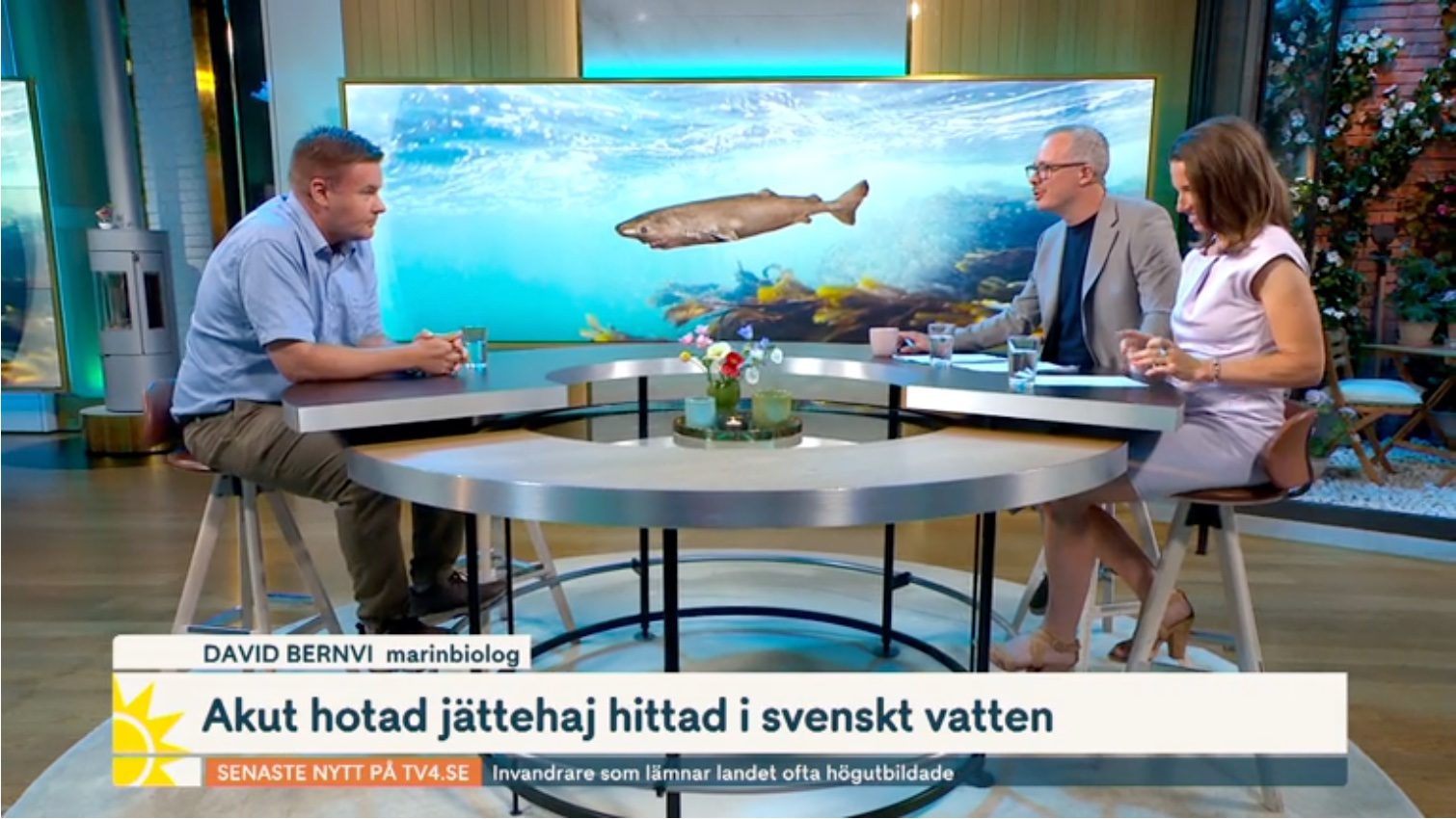 David Bernvi berättar att håkäringens barnkammare finns i Skagerrak. Nu behövs forskning för att kartlägga framtida skyddsområden.