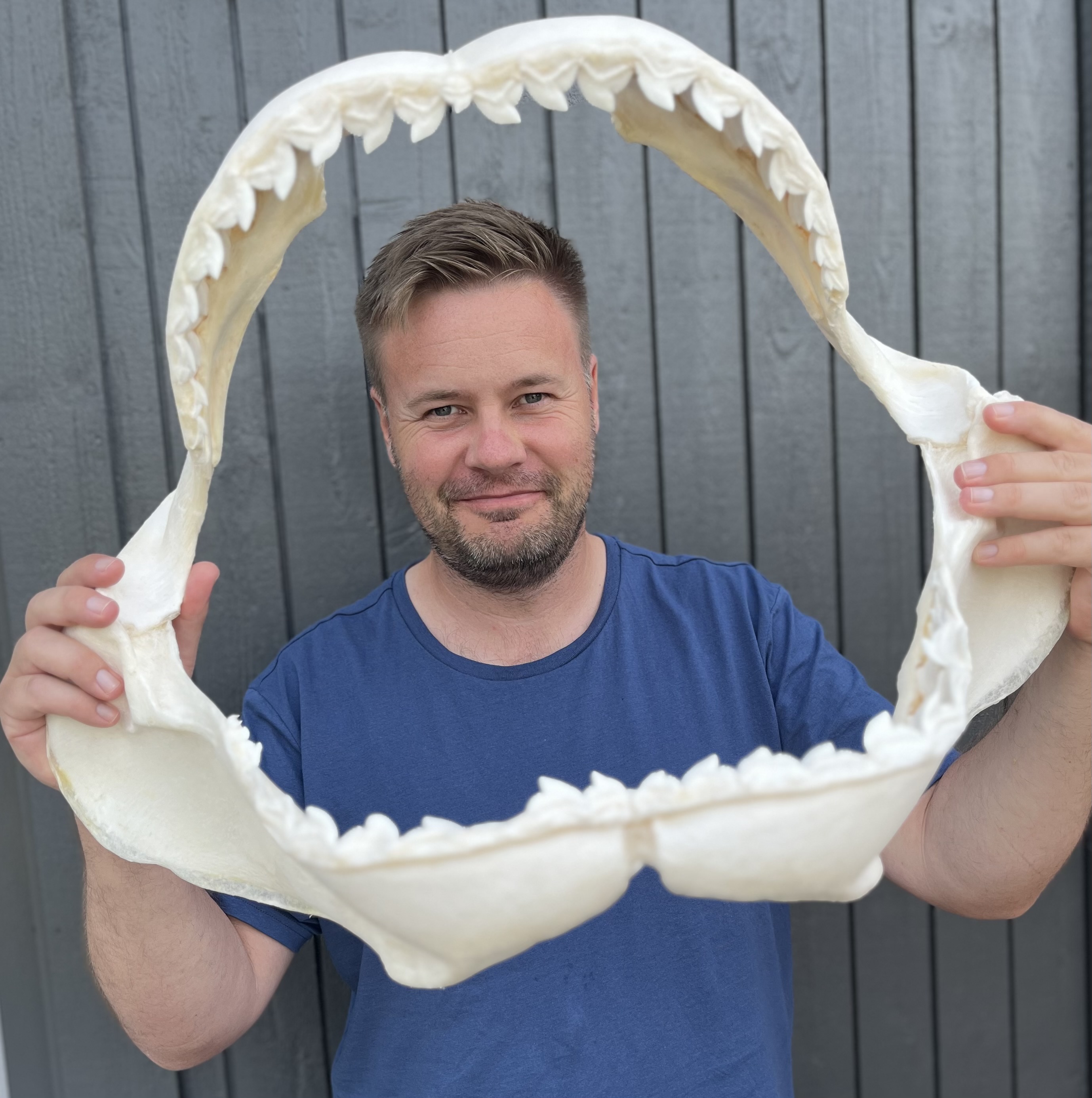 Omslagsbild för Höstens författarbesök