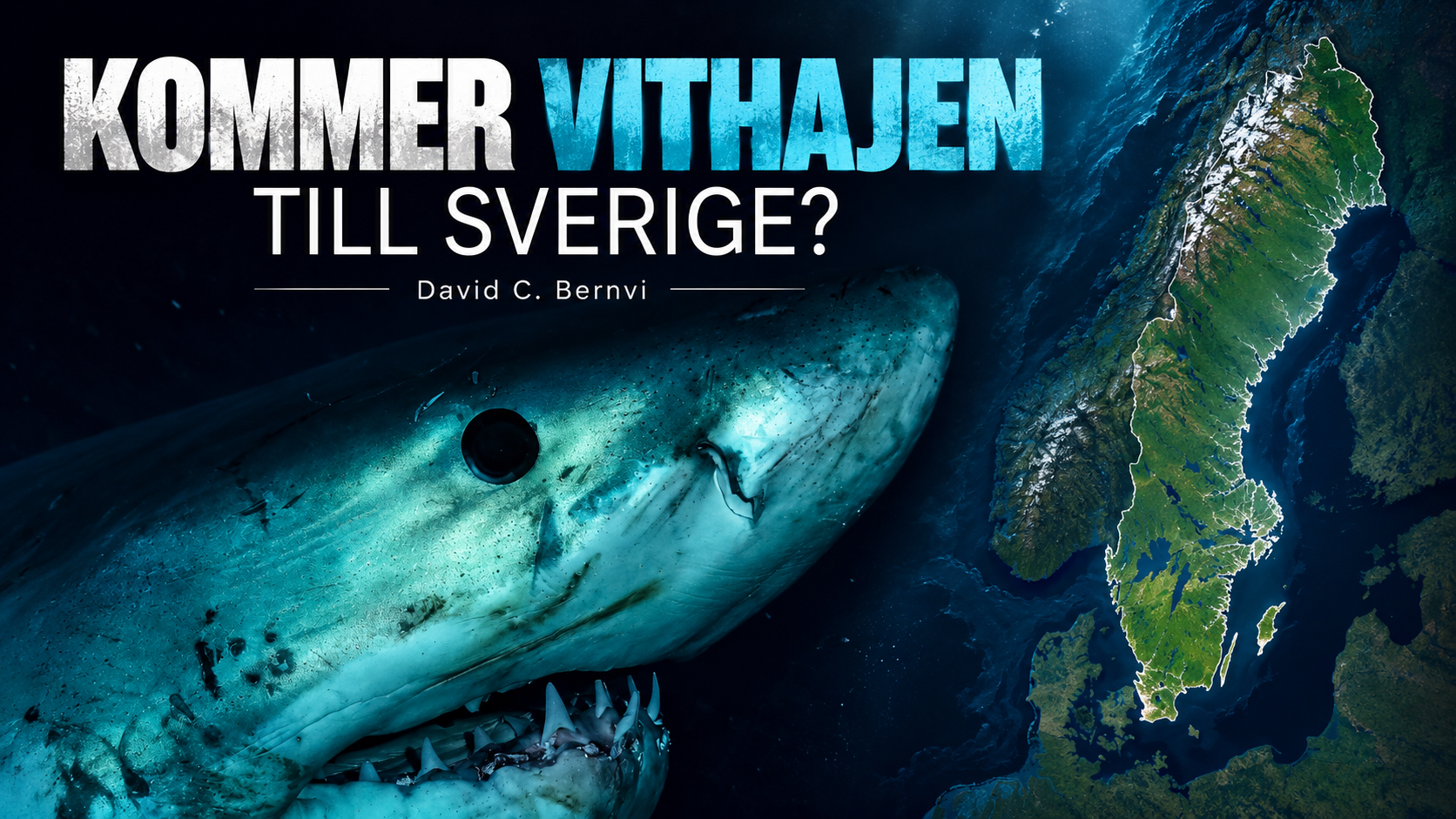 Omslagsbild för Kommer vithajen till Sverige?