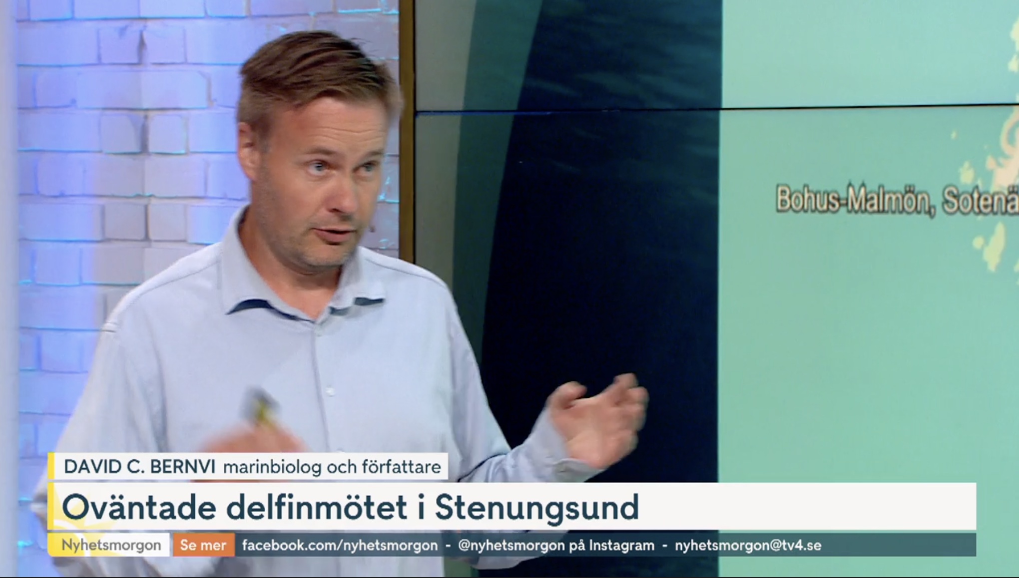 Omslagsbild för Om sadeldelfiner i Bohuslän och vithaj i Medelhavet