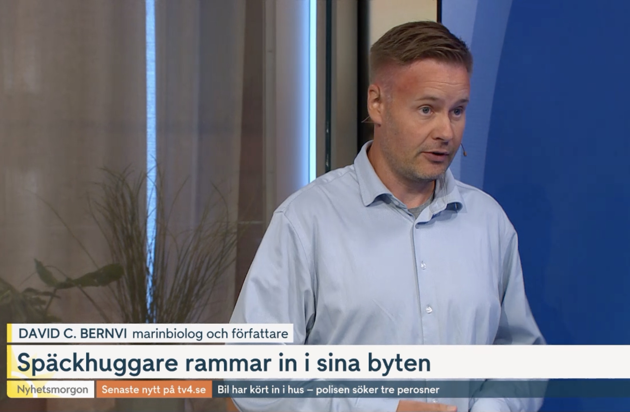 Omslagsbild för Späckhuggare spränger klumpfiskar