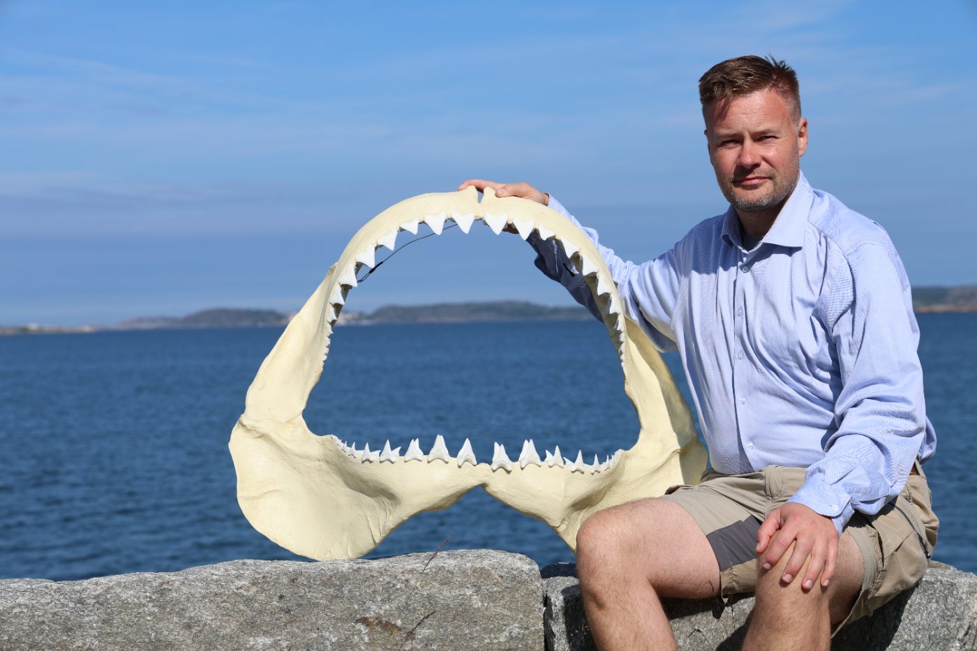 Författarbesök
